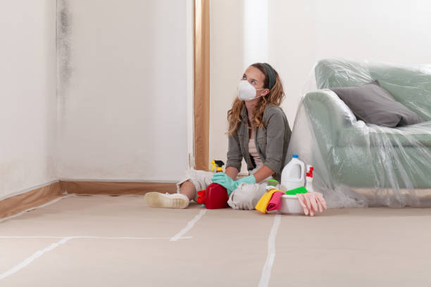 Reliable Mold Remediation contractor in Chester, VA by Cheap Mold Removal